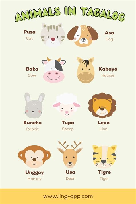 PET: Tagalog.